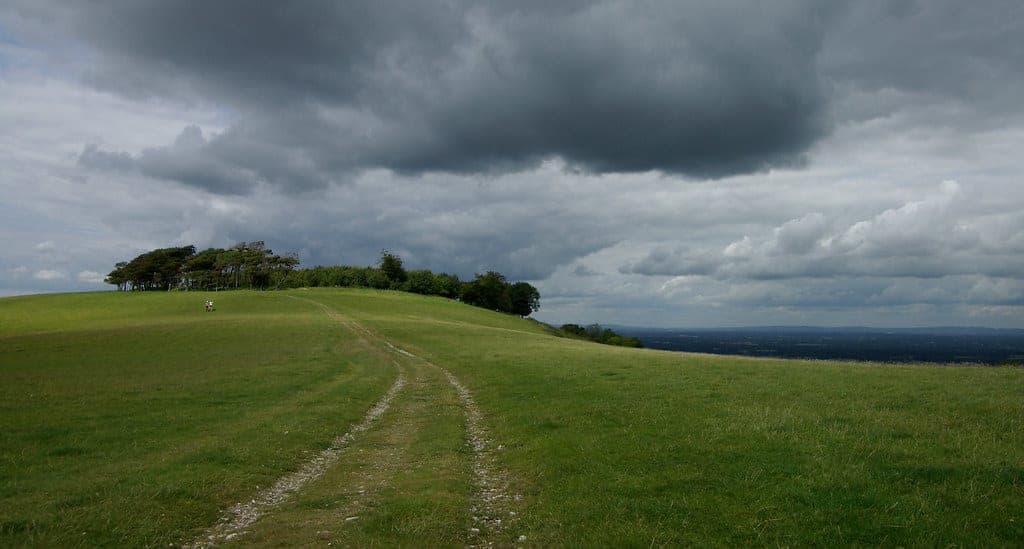 Chanctonbury Rings, Findon, West Sussex, England