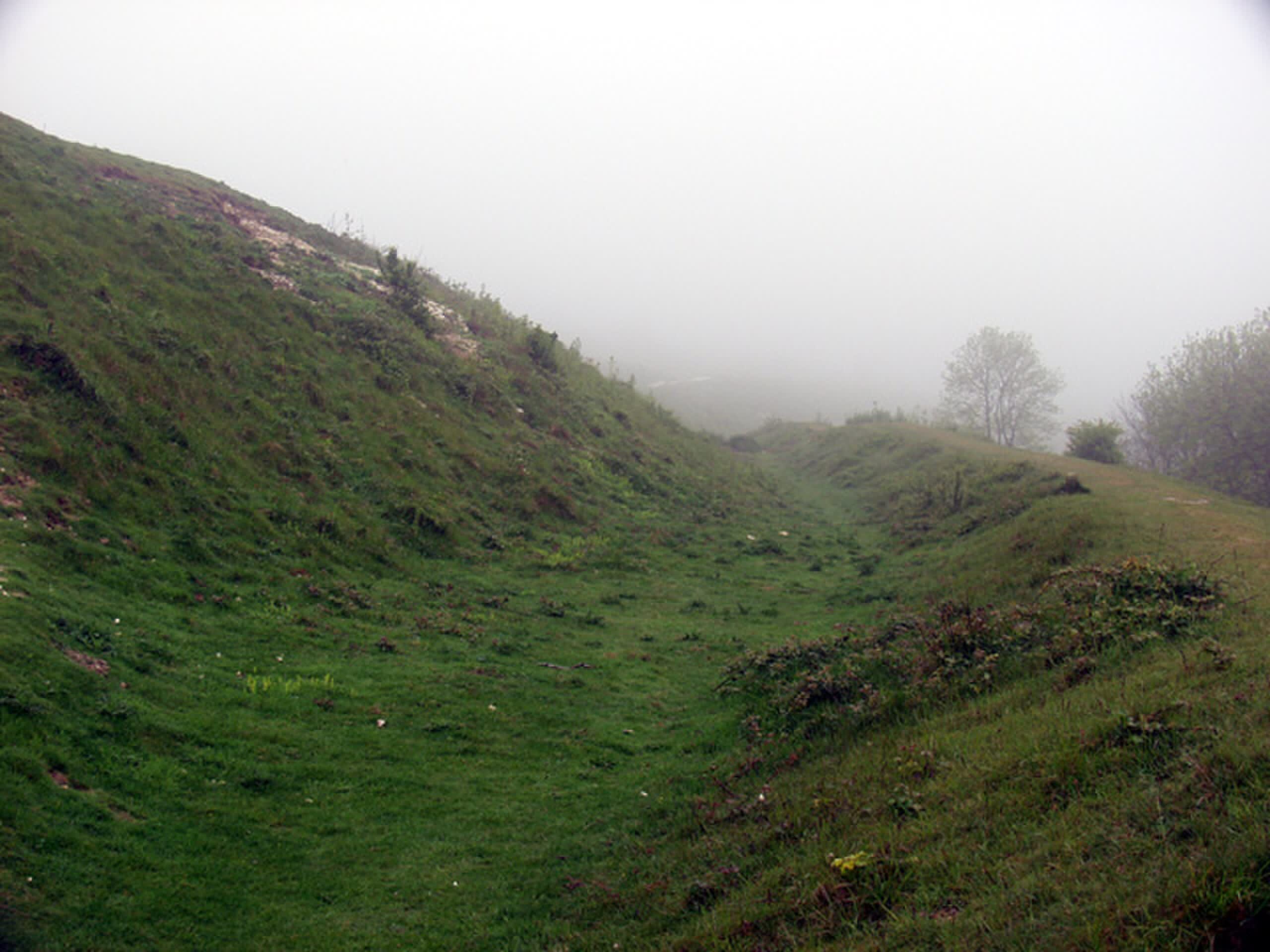 Cissbury Ring, Findon, West Sussex, England