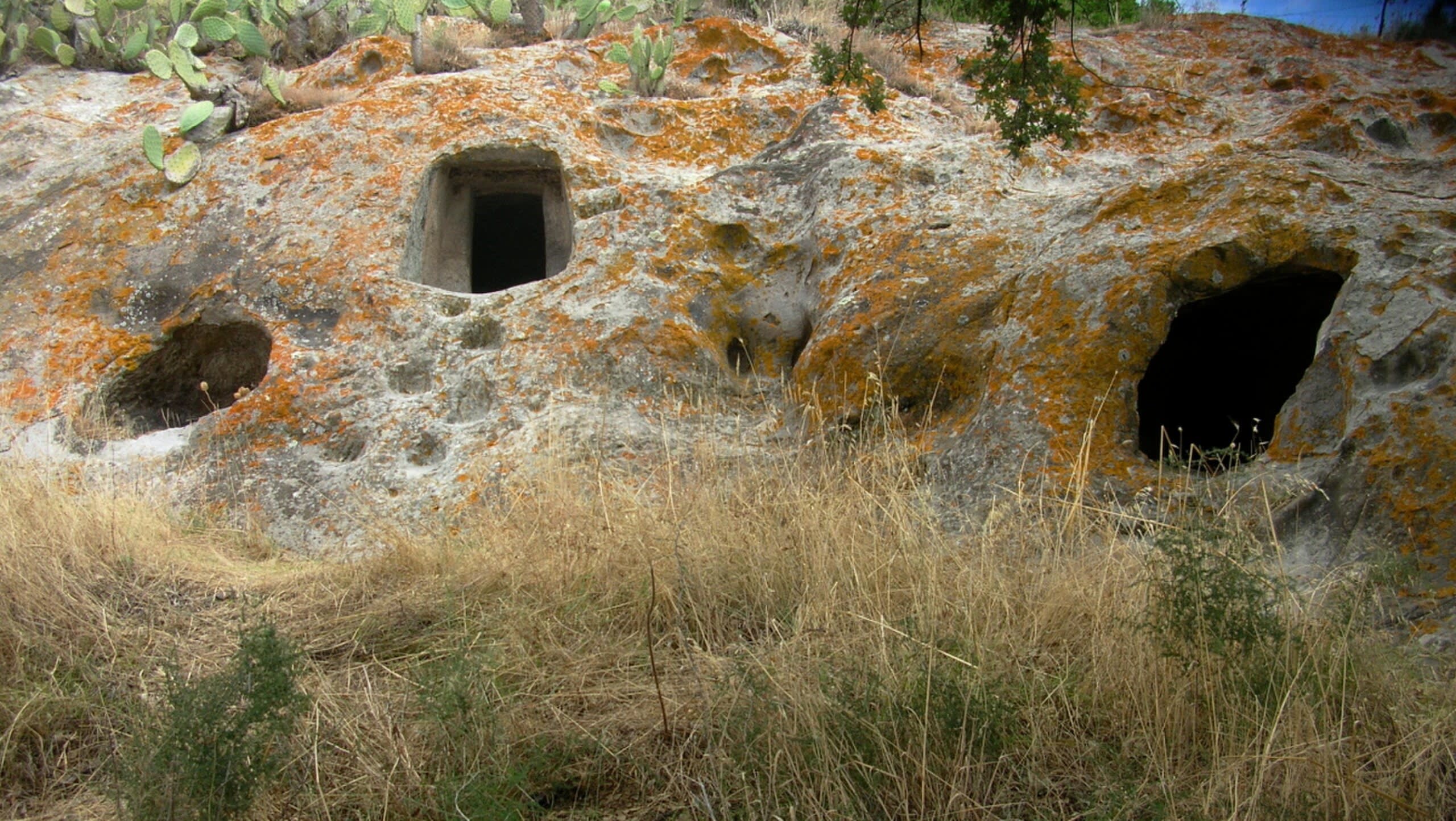 Domus de janas, Sas Concas