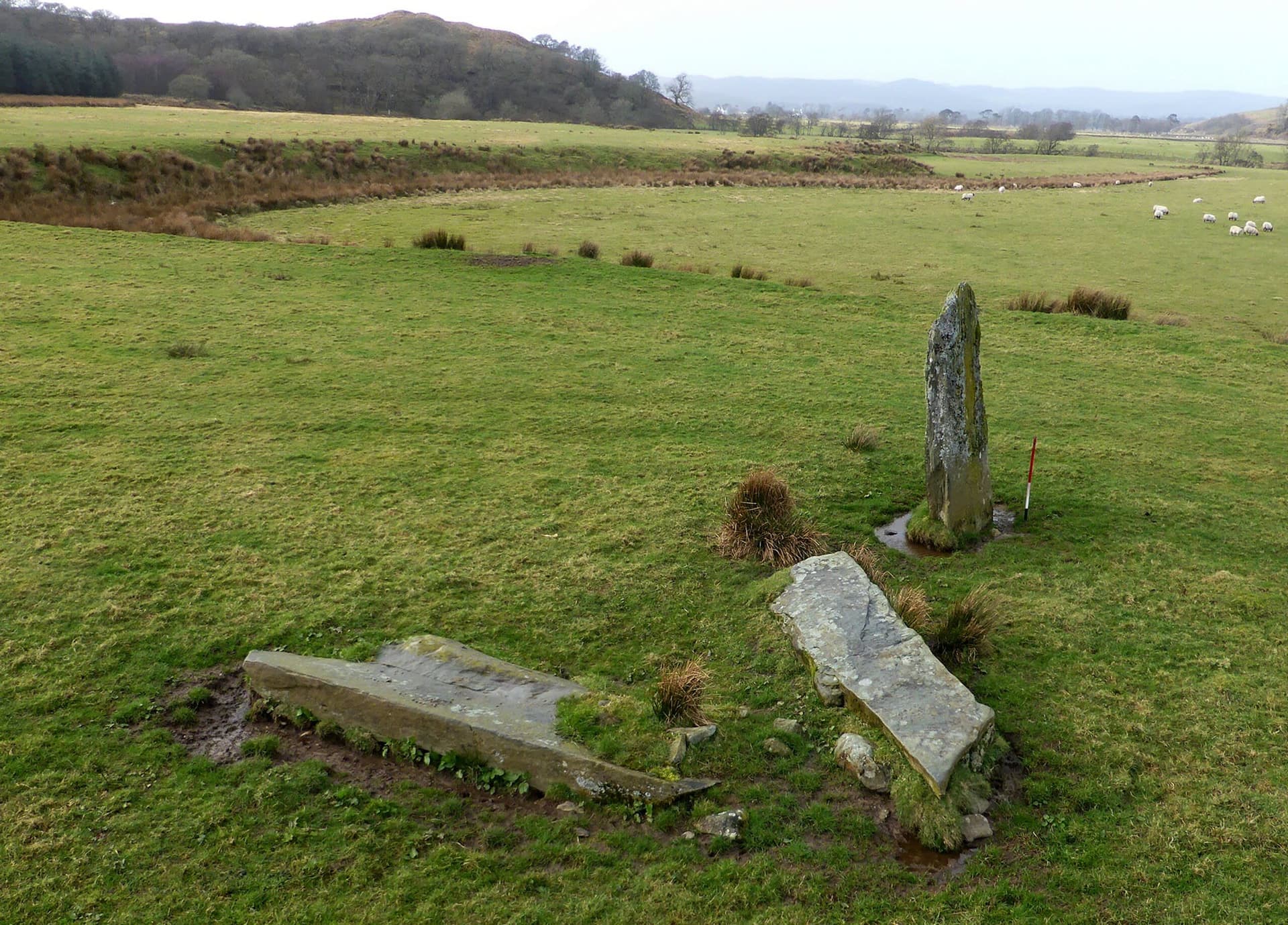 Dunamuck North Stone Row