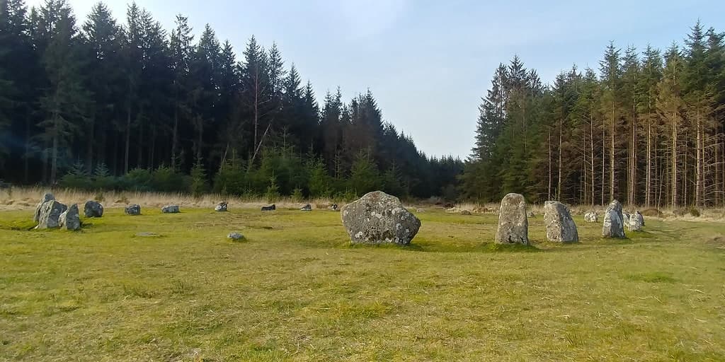Fernworthy Stone Circle