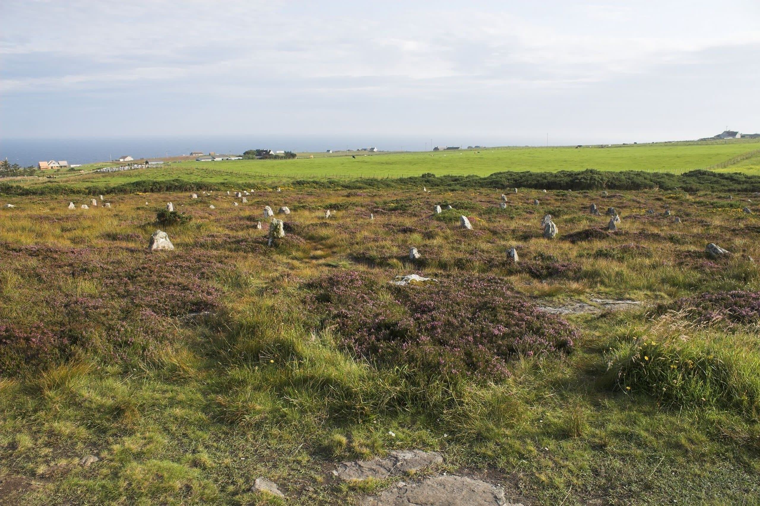 Hill o' Many Stanes