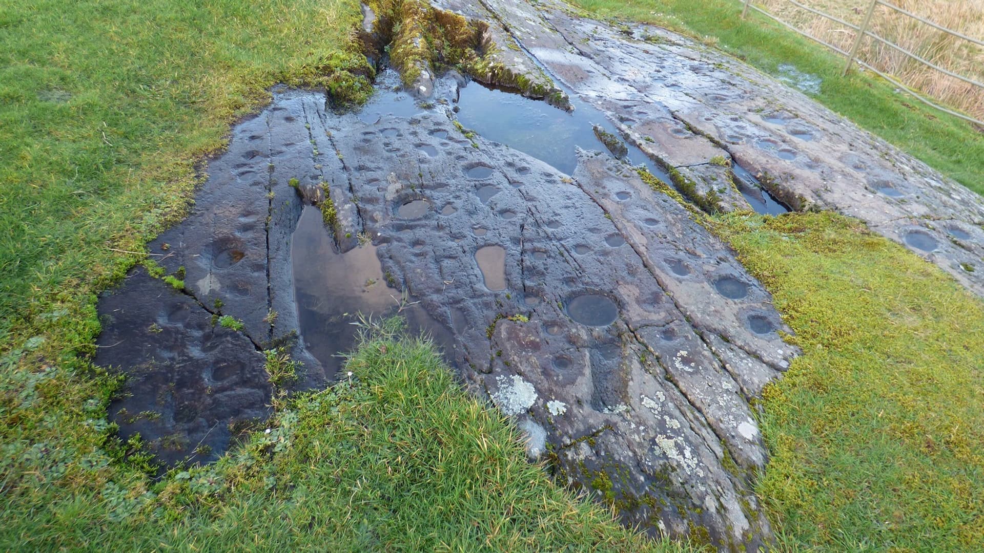 Kilmichael Glassary Cup and Ring Marks