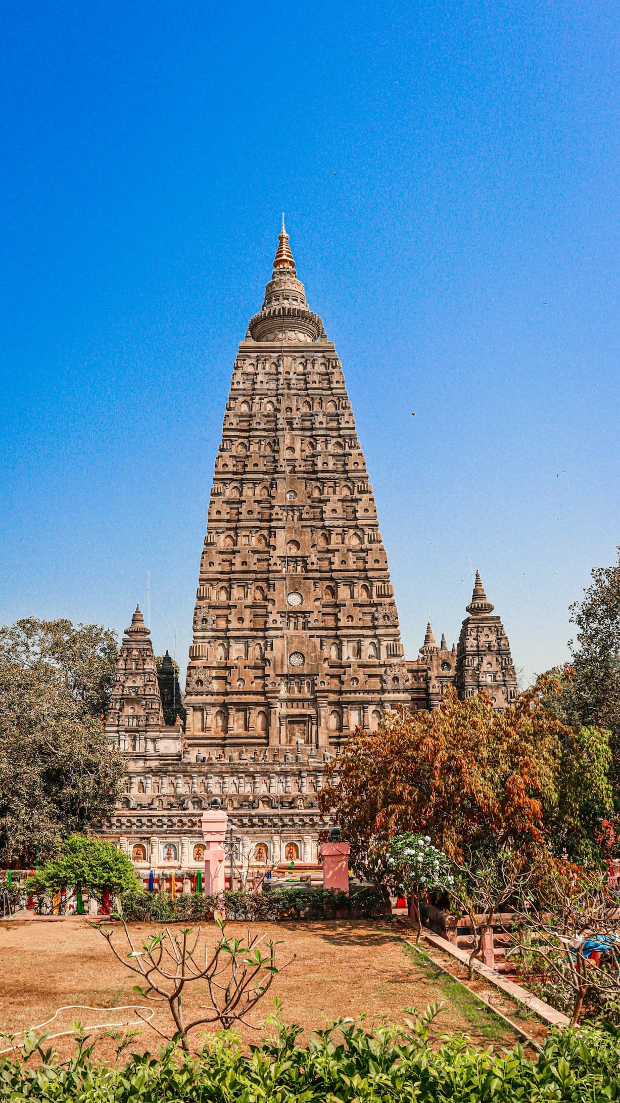 Mahabodhi Temple and Bodhi Tree, Bodh Gaya, Bihar