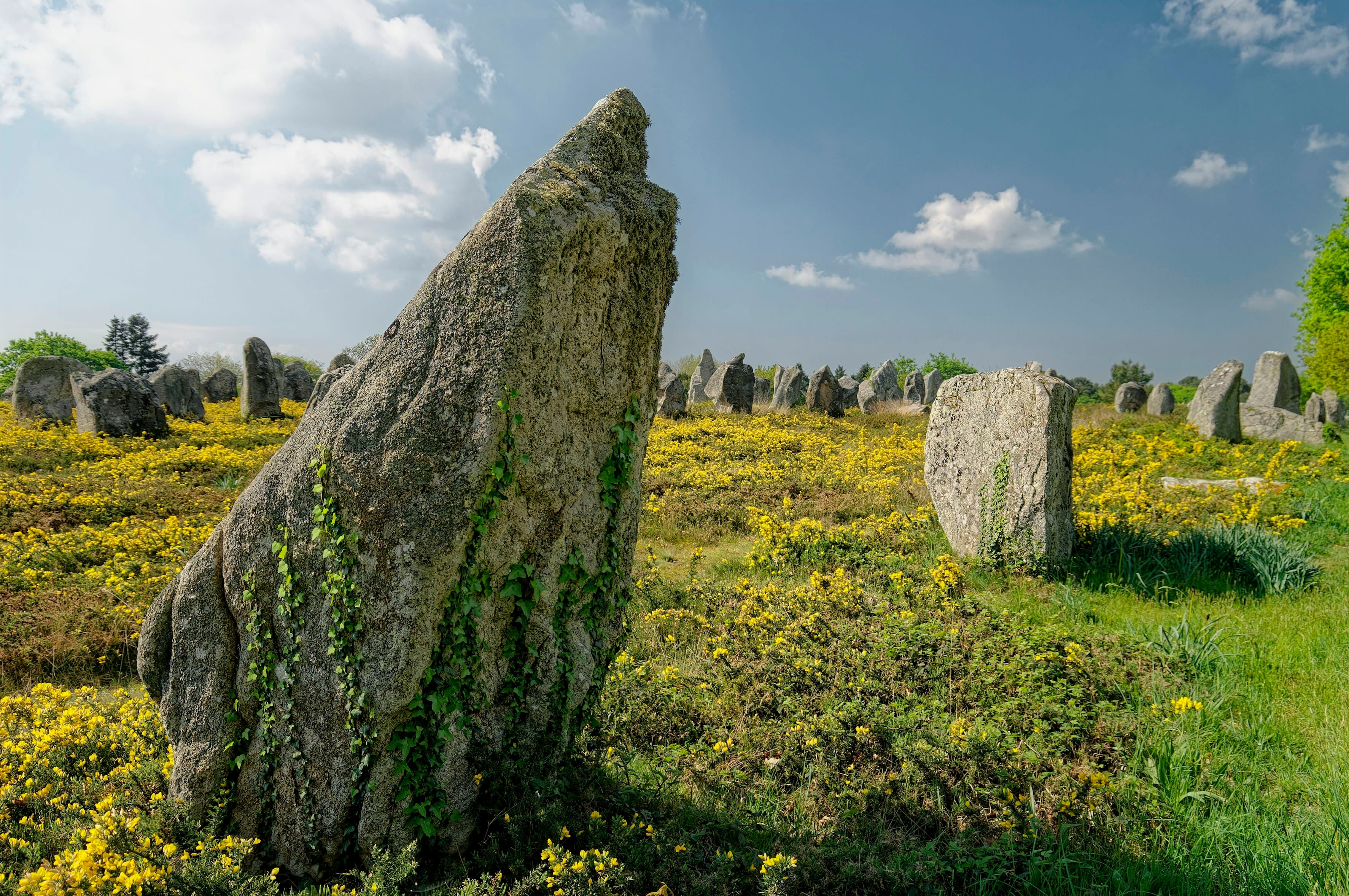 Megaliths of Carnac