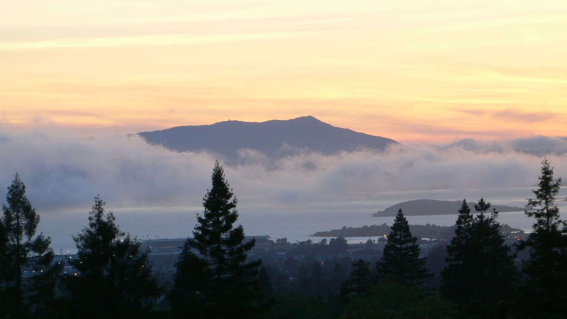 Mount Tamalpais