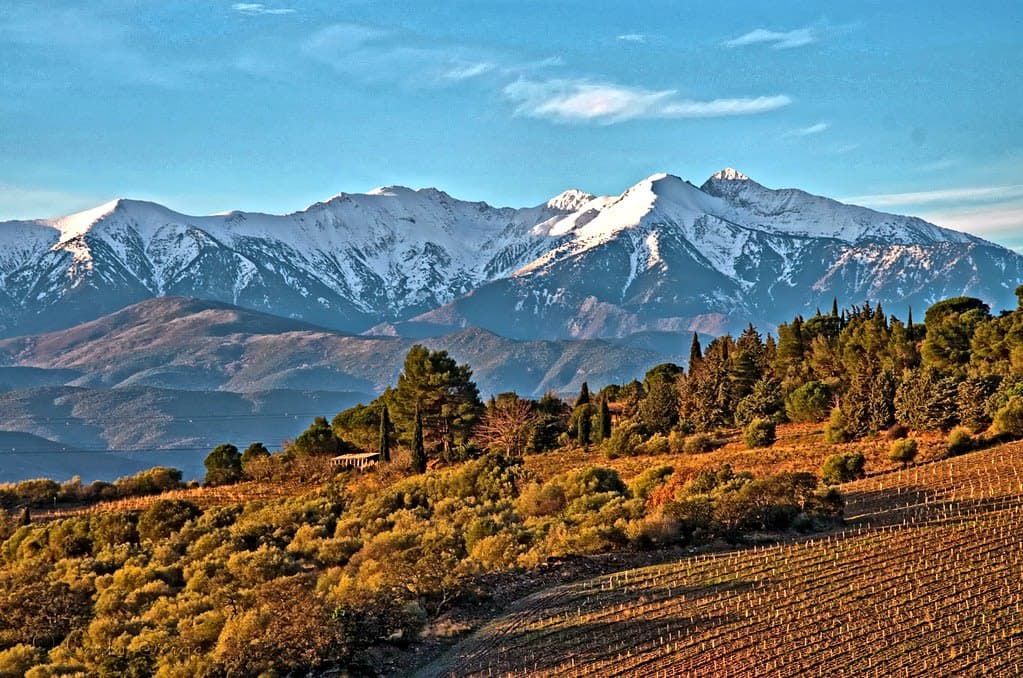 Mt. Canigou