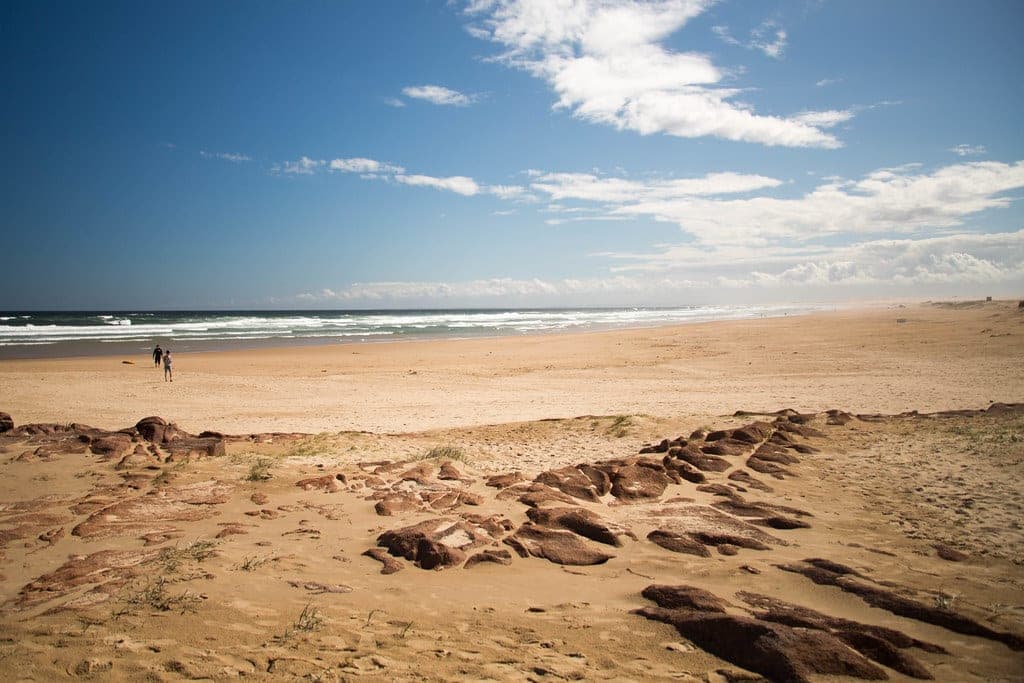 Worimi Conservation Lands