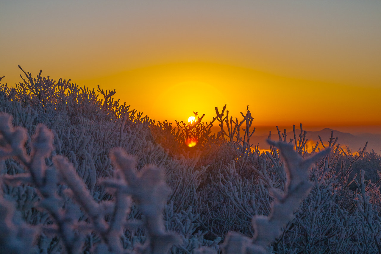 Shinheung-sa Temple of Mt. Seorak-san