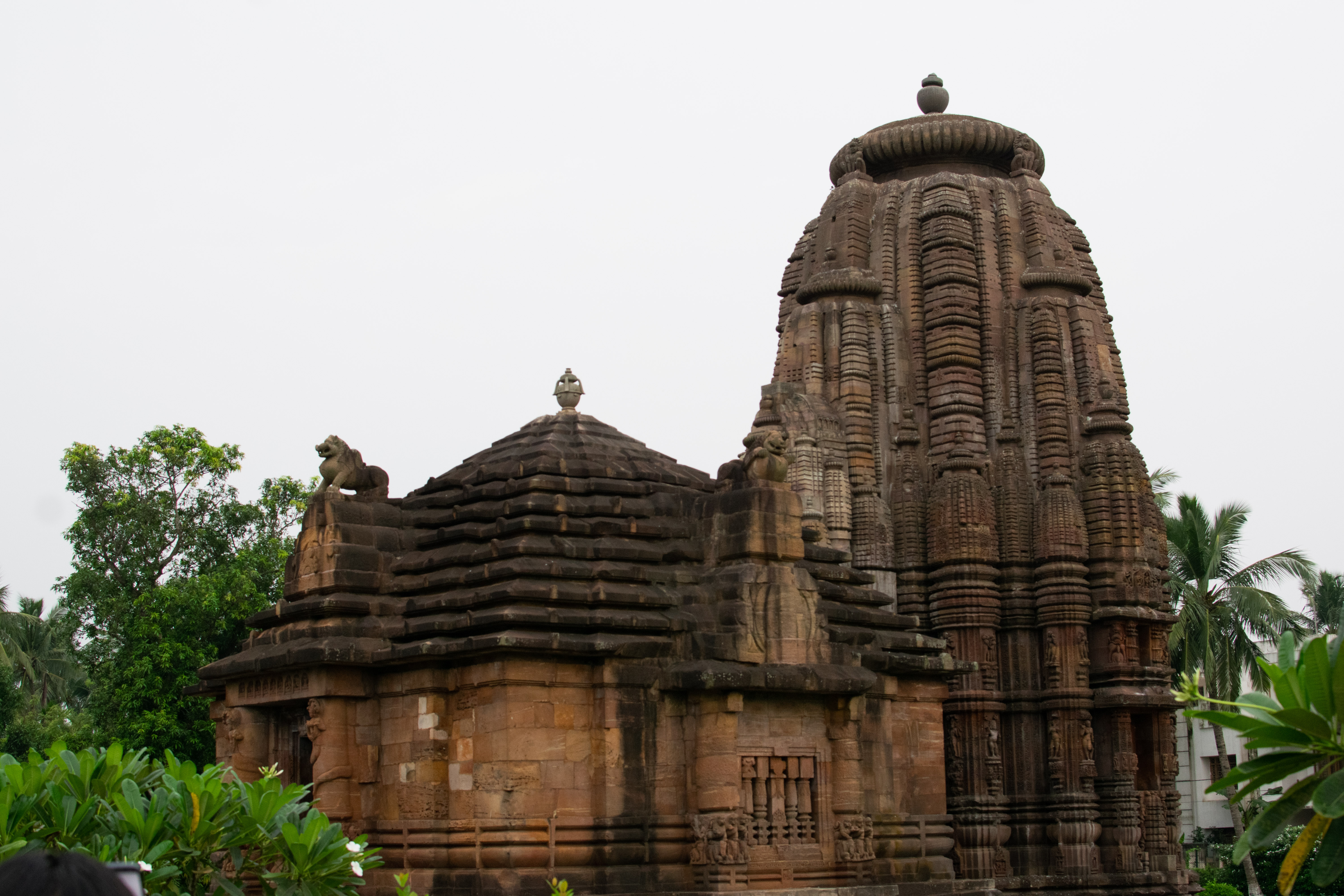 Rajarani Temple, Bhubaneswar, Odisha